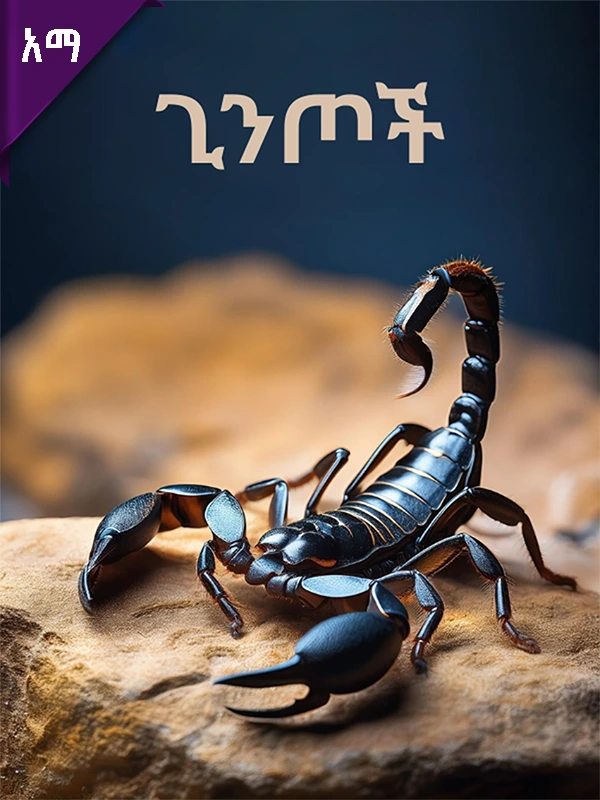 ጊንጦች