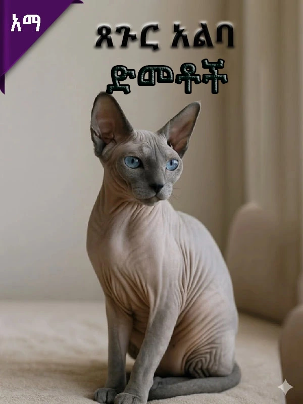 ጸጉር አልባ ድመቶች