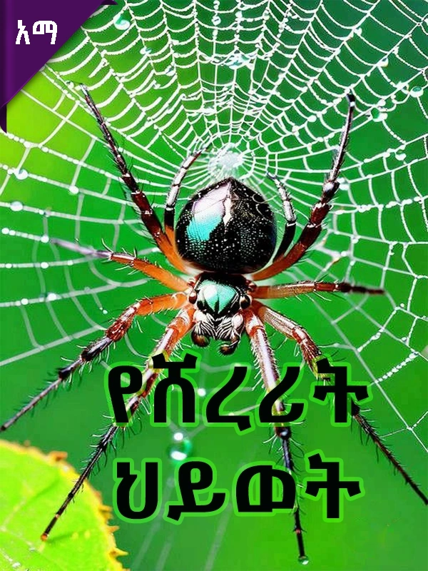 የሸረሪት ህይወት