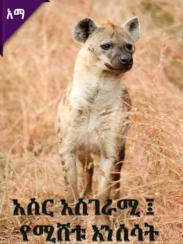 አስር አስገራሚ ፤ የሚሸቱ እንስሳት