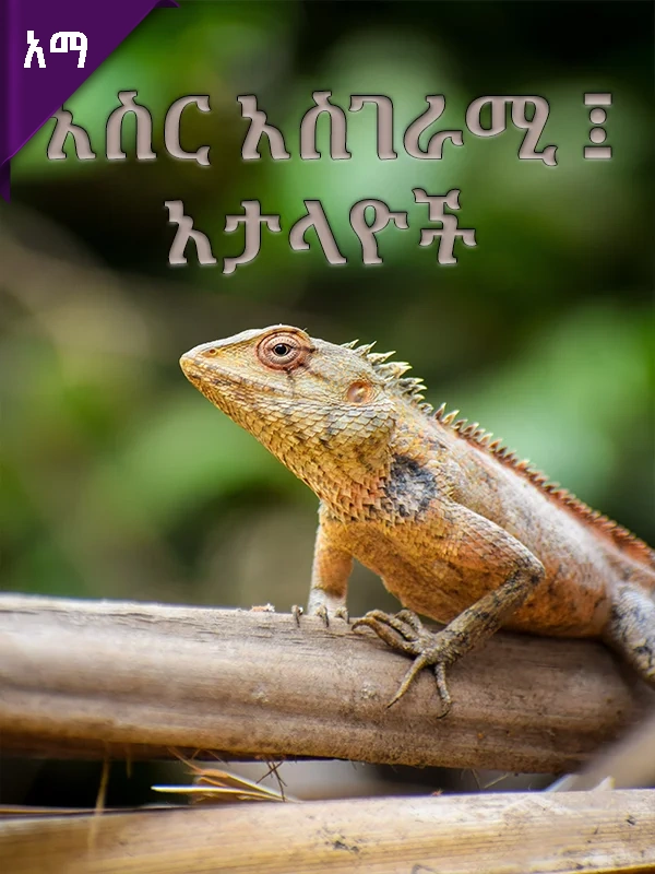 አስር አስገራሚ ፤ አጭበርባሪዎች /አታላዮች/