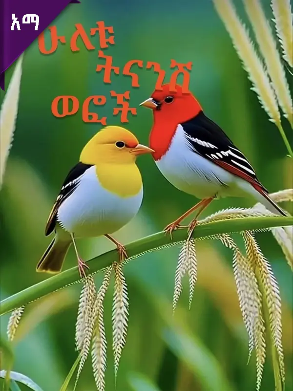 ሁለቱ ትናንሽ ወፎች
