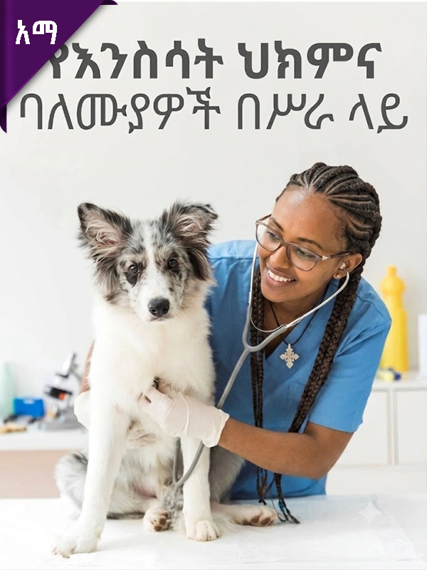 የእንስሳት ህክምና ባለሙያዎች በስራ ላይ
