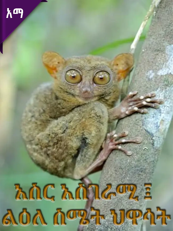 አስር አስገራሚ ፤ ልዕለ ስሜት ህዋሳት