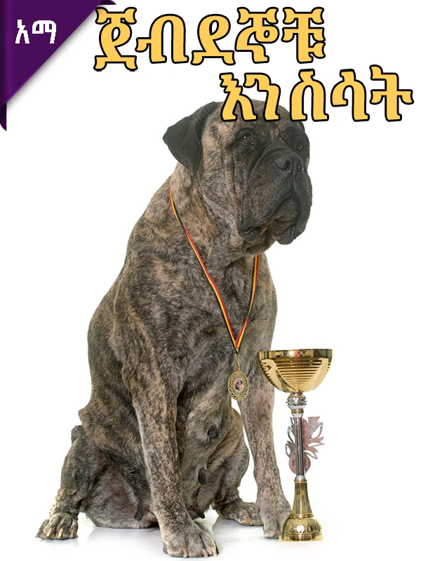 ጀብደኞቹ እንስሳት